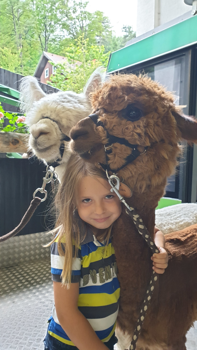 F R Den Kindertag Auf Der Rax Alpakas Fahren Seilbahn Familiii