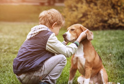 Vortrag Kind und Hundeine Freundschaft fürs Leben familiii