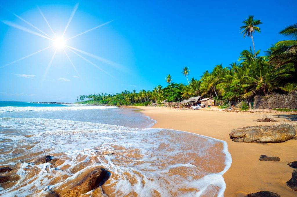 Tropischer Strand Sri Lanka