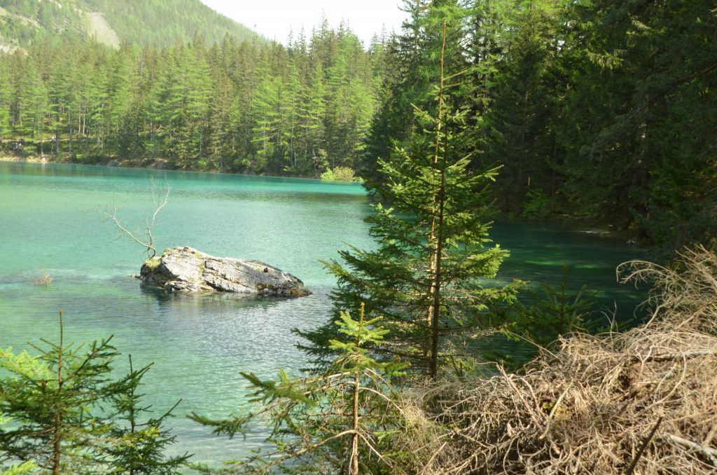 Der Grüne See in Tragöß – ein besonderes Naturjuwel