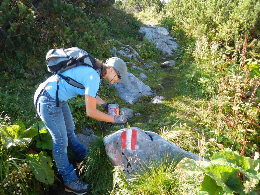 „Naturschutz gibt mir Berge!“, freiwillige Sommerarbeit