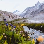 Wildnisgebiet Sulzbachtäler im Nationalpark Hohe Tauern