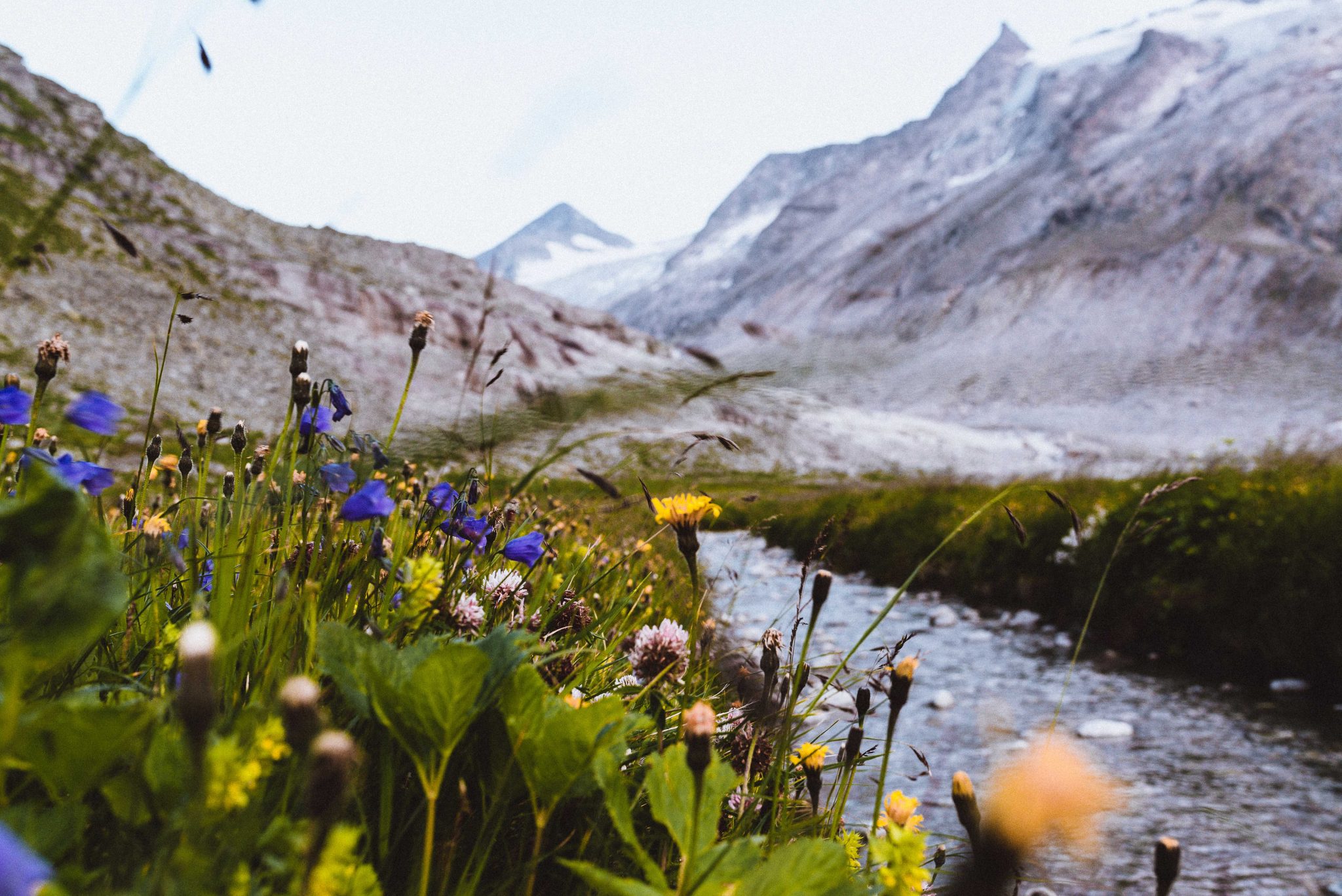 Wildnisgebiet Sulzbachtäler im Nationalpark Hohe Tauern