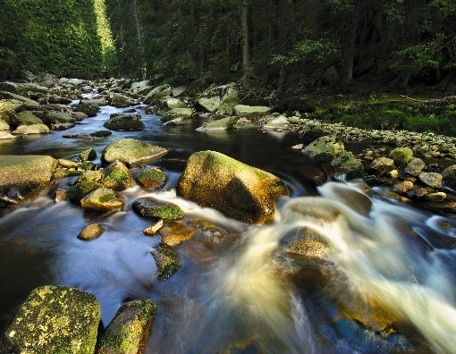 Böhmerwald Czech Tourism