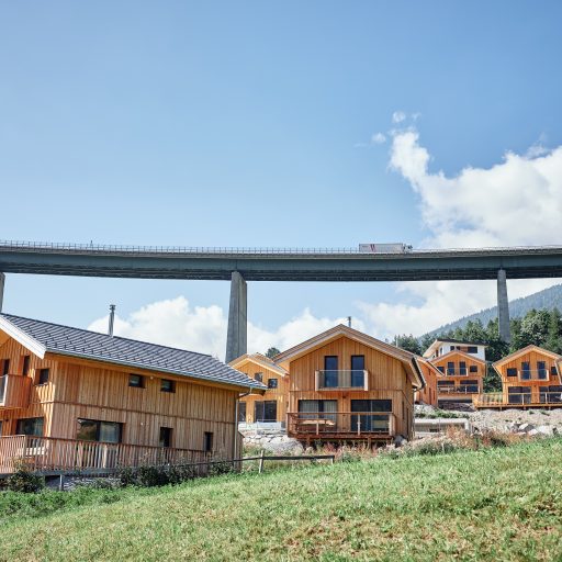 bergeralm_chalets_aus_massivholz_im_sommer_alps_residence