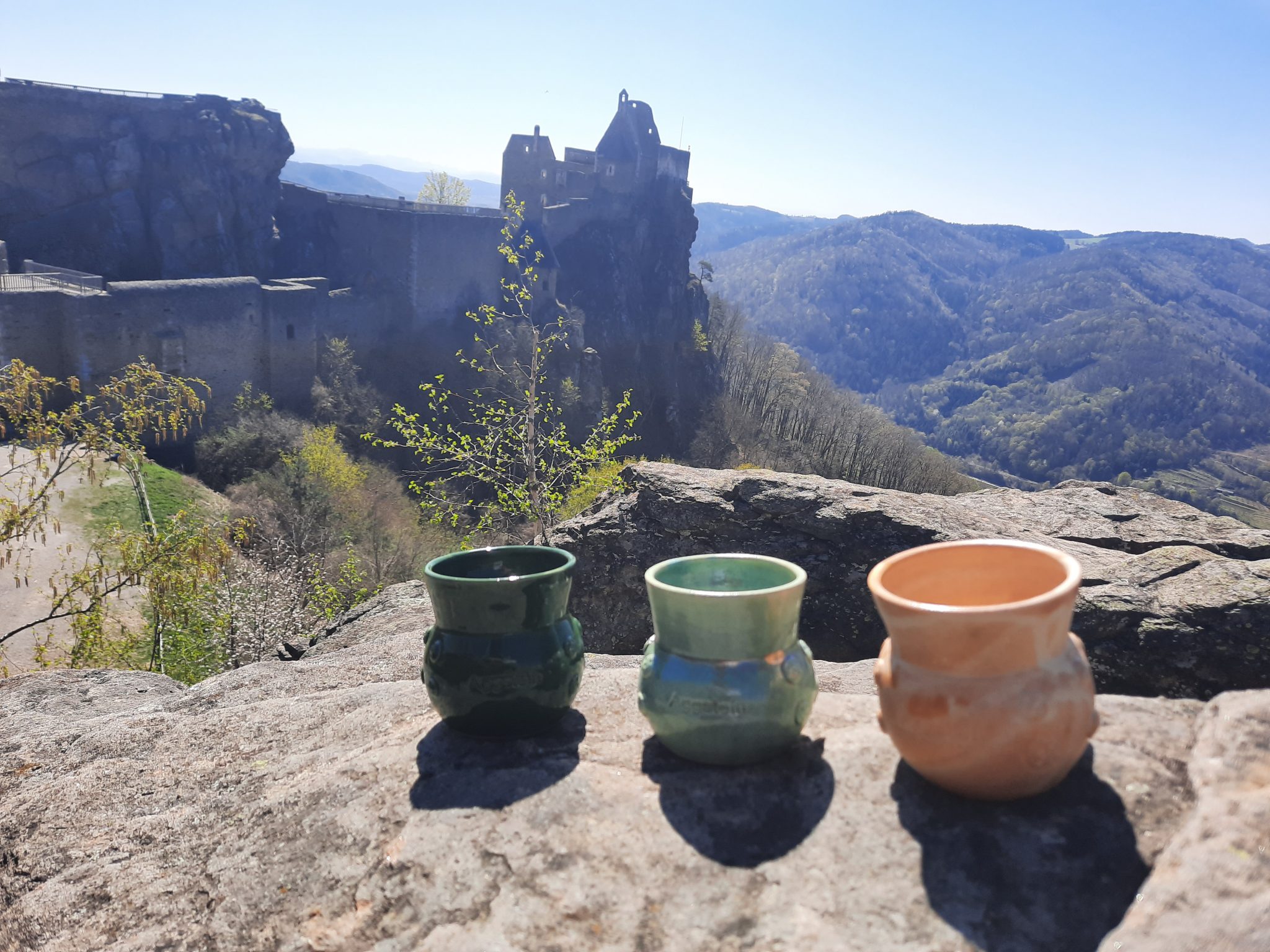 Top-Ausflugsziele Niederösterreich:Burgruine Aggstein-1