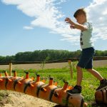 Top-Ausflugsziele Niederösterreich: Nationalpark Donauauen Forscherzentrum