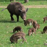 Top-Ausflugsziele Niederösterreich:Naturpark Sparbach