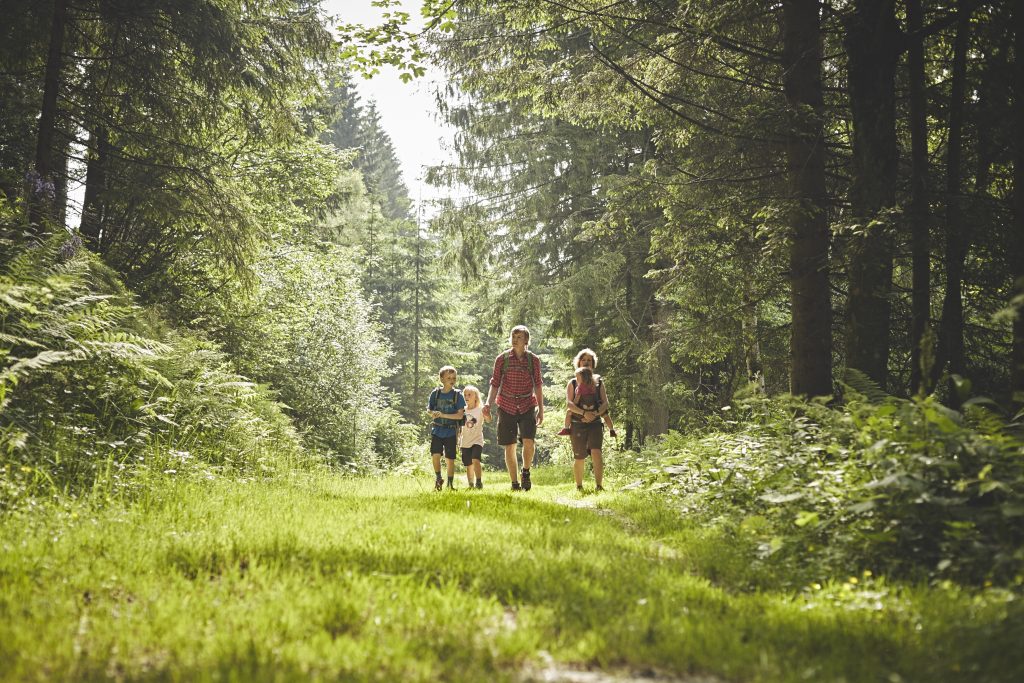 Die Sommerhitze in der Stadt kann Erwachsenen und Kindern ganz schön zusetzen. Linderung verschafft am besten ein Ausflug aufs Land. Vorzugsweise dorthin, wo Wälder für Erfrischung sorgen und es noch dazu viel zu erleben gibt, zum Beispiel in die Wiener Alpen