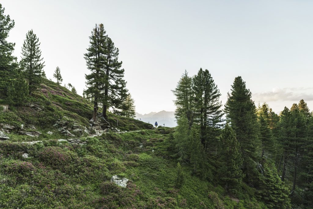 Die Wanderregion Hall-Wattens lädt zum Kraftorte sammeln ein.