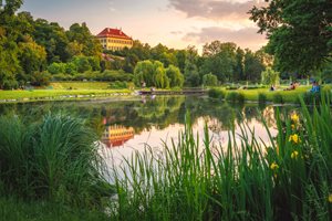 Kinder-Insel in Prag