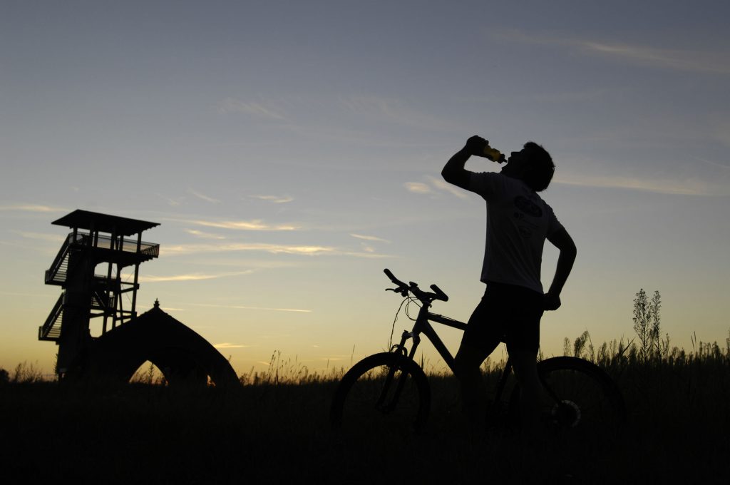 Neusiedler See - die Region mit den bestausgestatteten Radwegen in ganz Österreich!