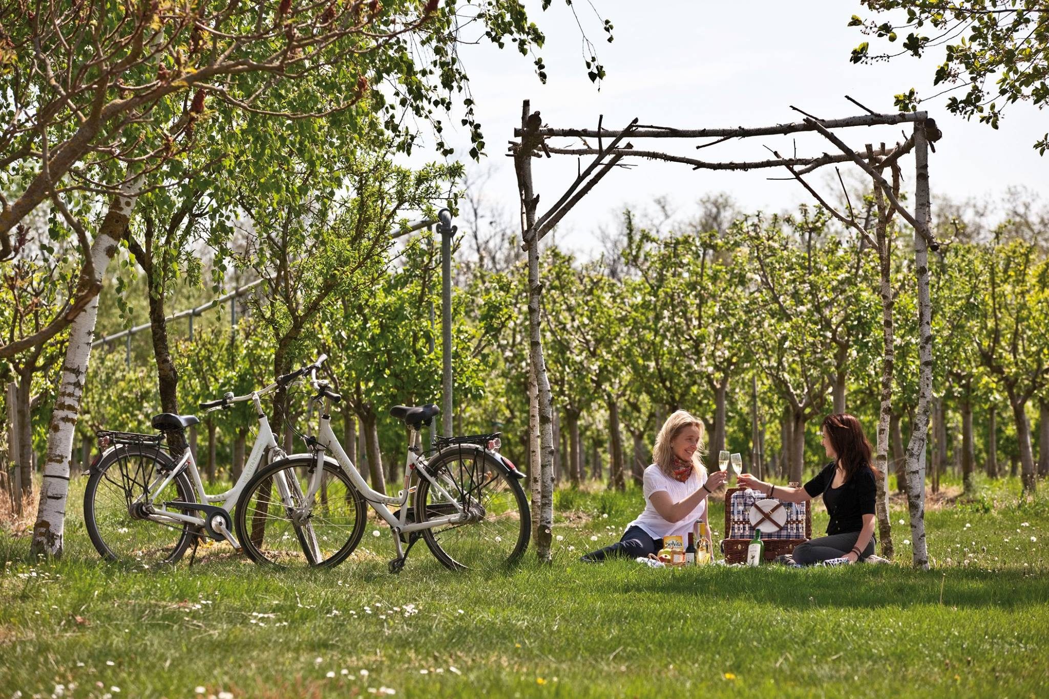 picknick_im_gruenen_vila_vita_pannonia_pamhagen