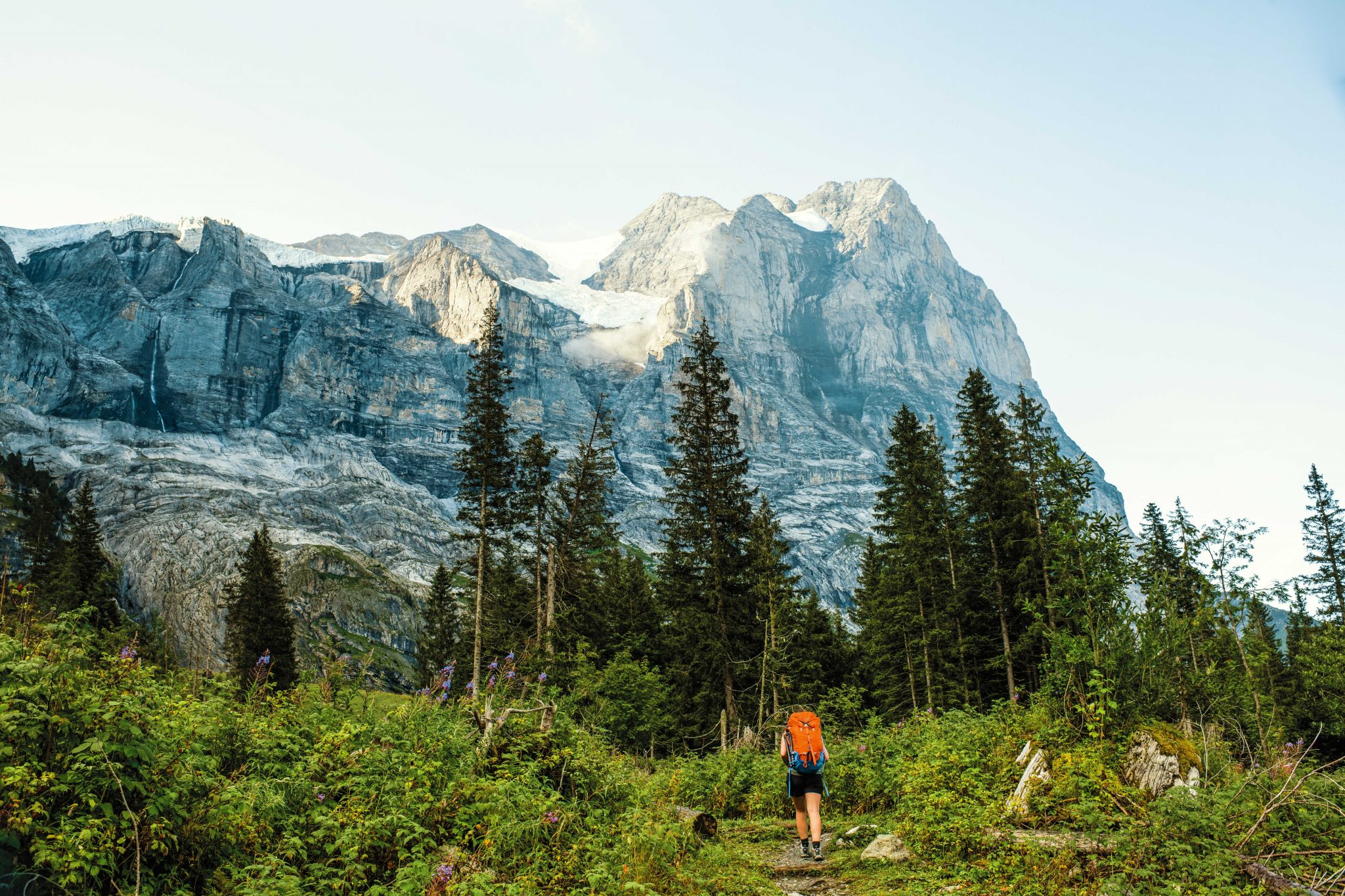 eurohike-wanderreise-baerentrek-schwarzwaldalp-wanderer-c-schweiz-tourismus