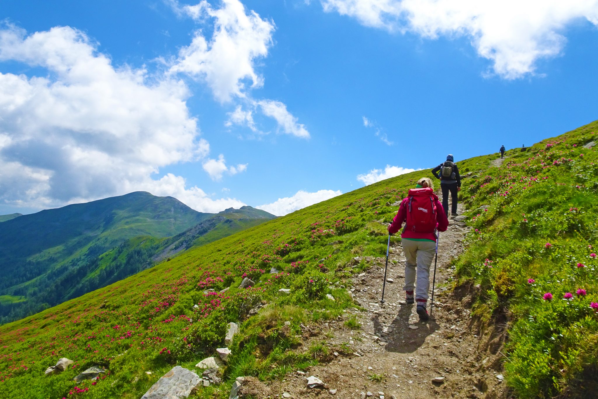 eurohike-wanderreise-salzburger-gipfel-kitzbueheler-alpen-pinzgau-wanderer