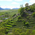 eurohike-wanderreisen-suedtirol-via-claudia-weinberge