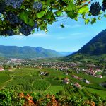 ausblick_ueber_algund_im_herbstc_daniela_prossliner_algund