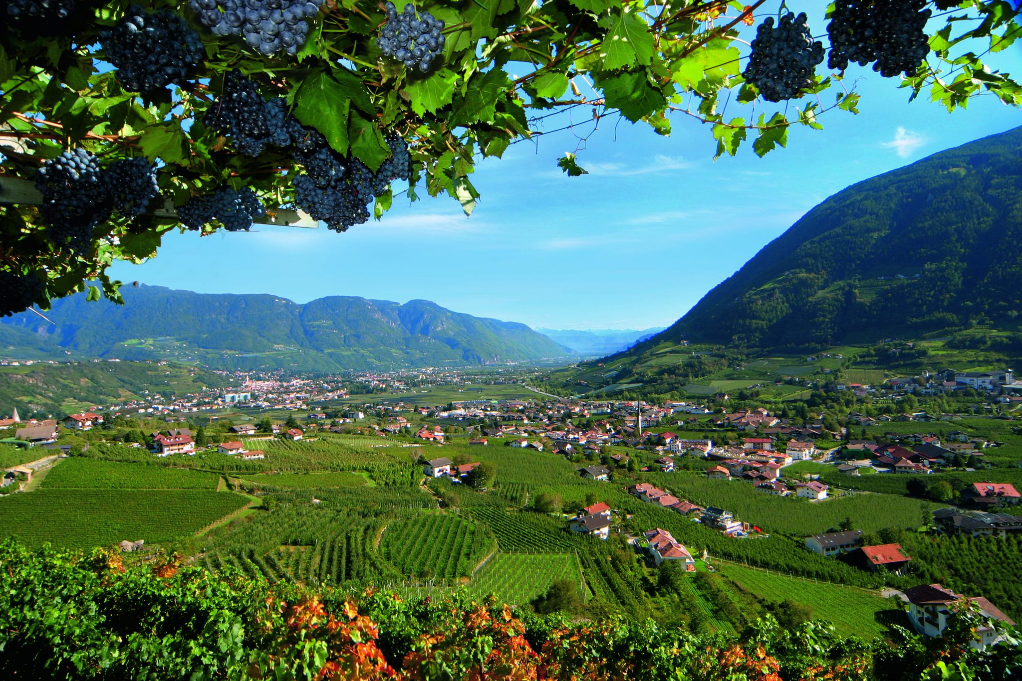 ausblick_ueber_algund_im_herbstc_daniela_prossliner_algund