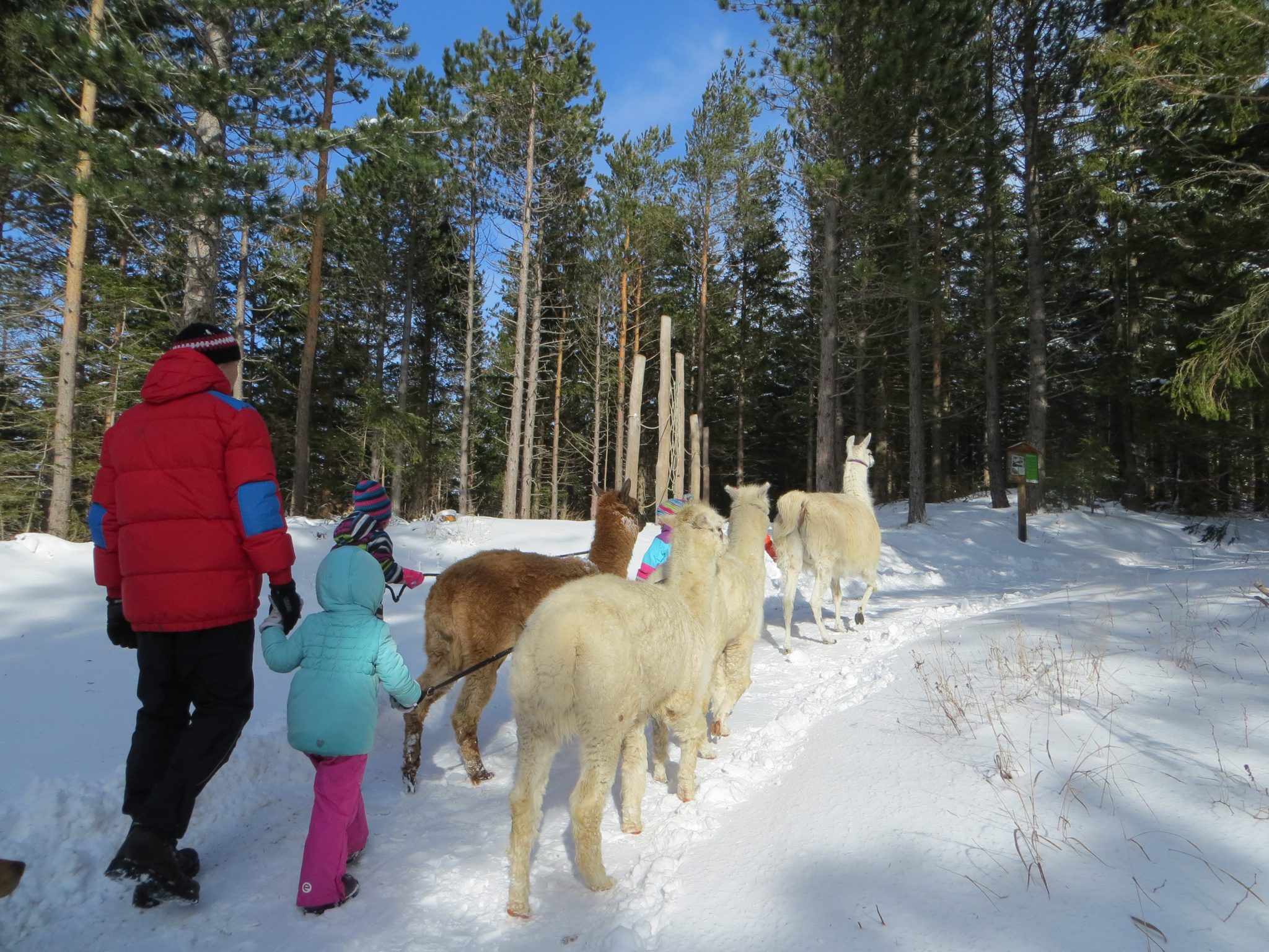 Naturpark Hohe Wand-1