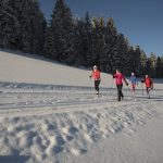 Langlaufen auf der Jogllandloipe in der Oststeiermark