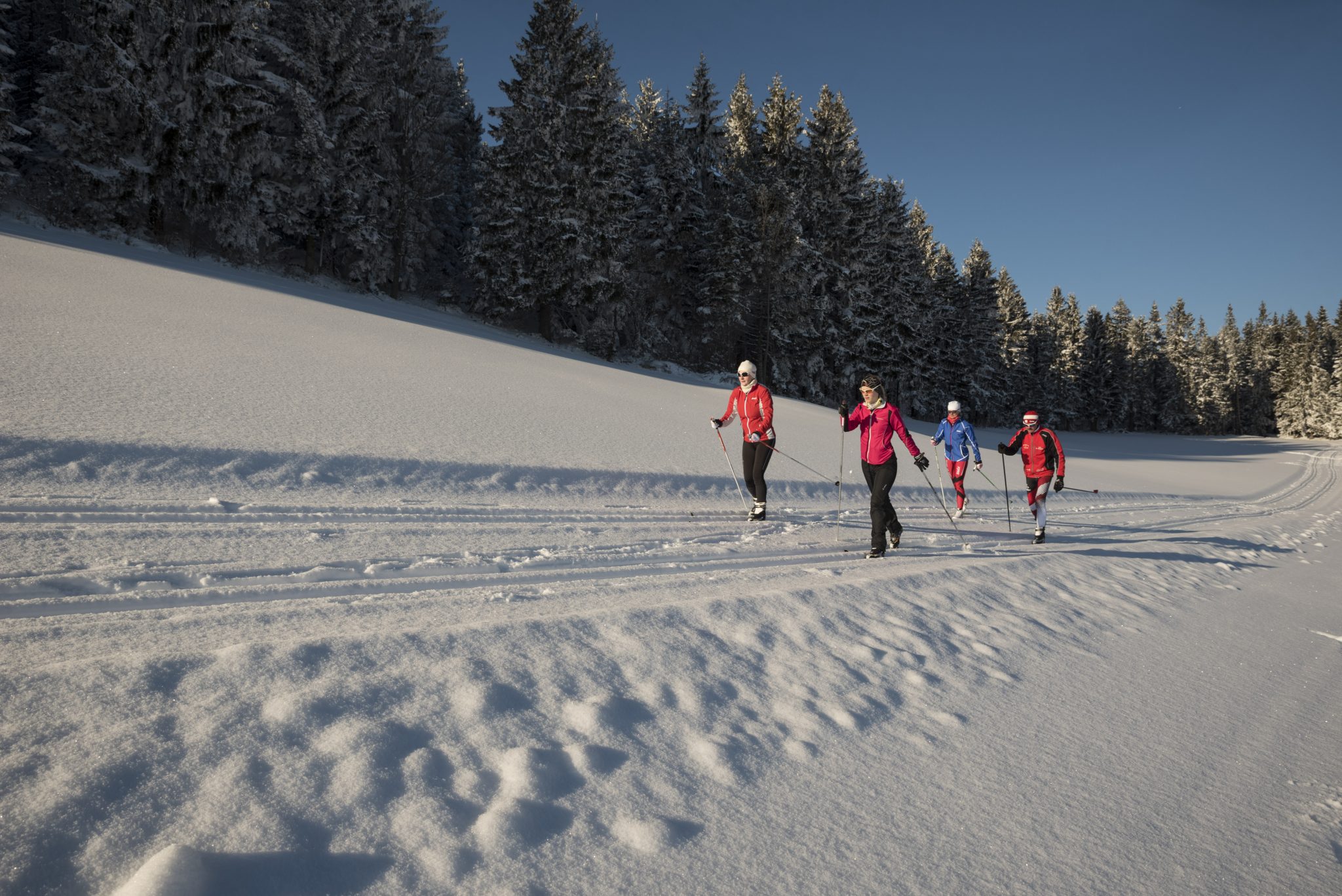 Langlaufen auf der Jogllandloipe in der Oststeiermark