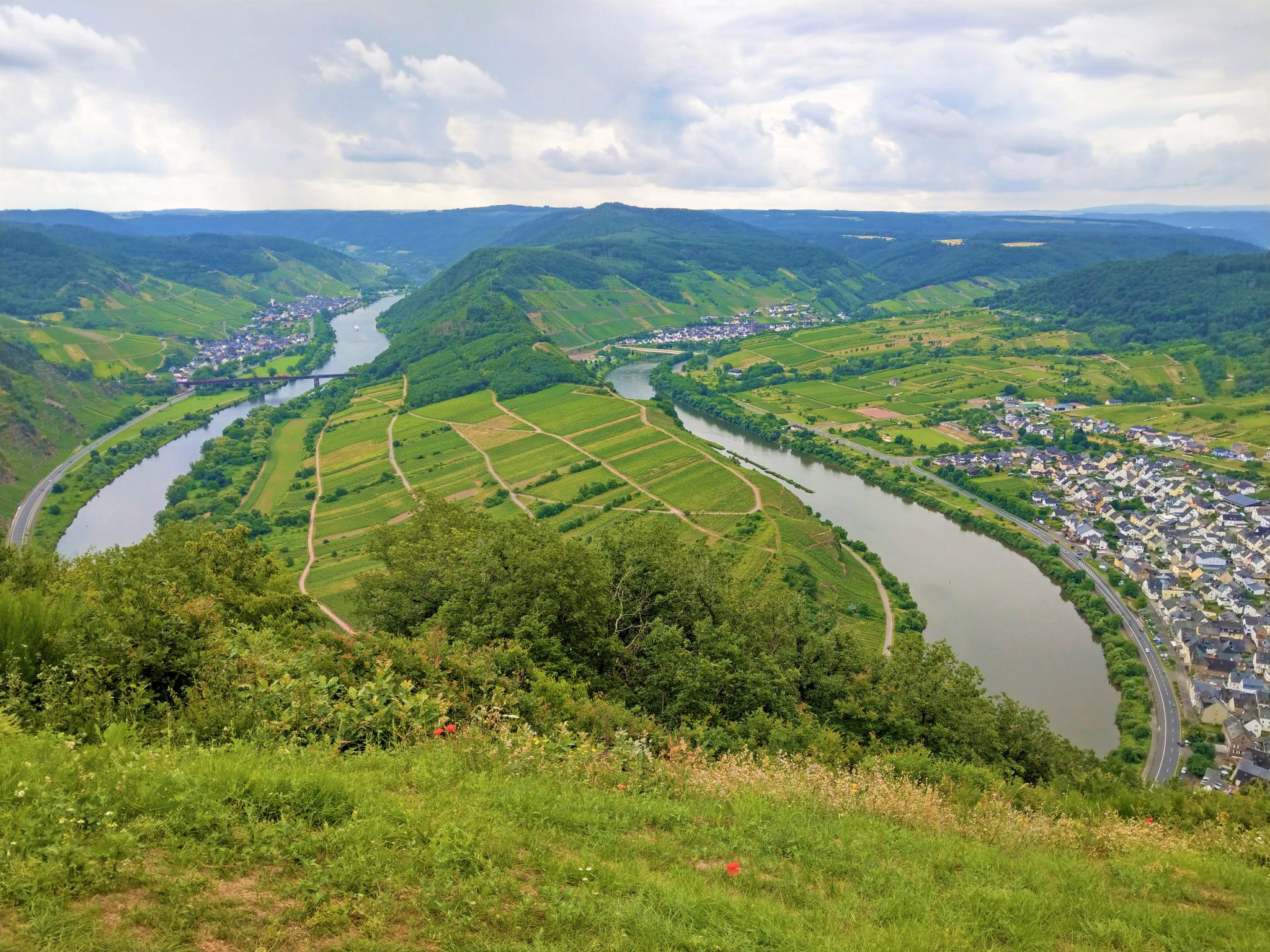 eurohike-wanderreisen-mosel-und-eifelsteig-moselschleife