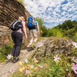 eurohike-wanderreisen-moselsteig-wanderweg-wanderer