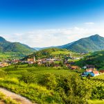 eurohike-wanderreisen-welterbesteig-wachau-weissenkirchen-panorama