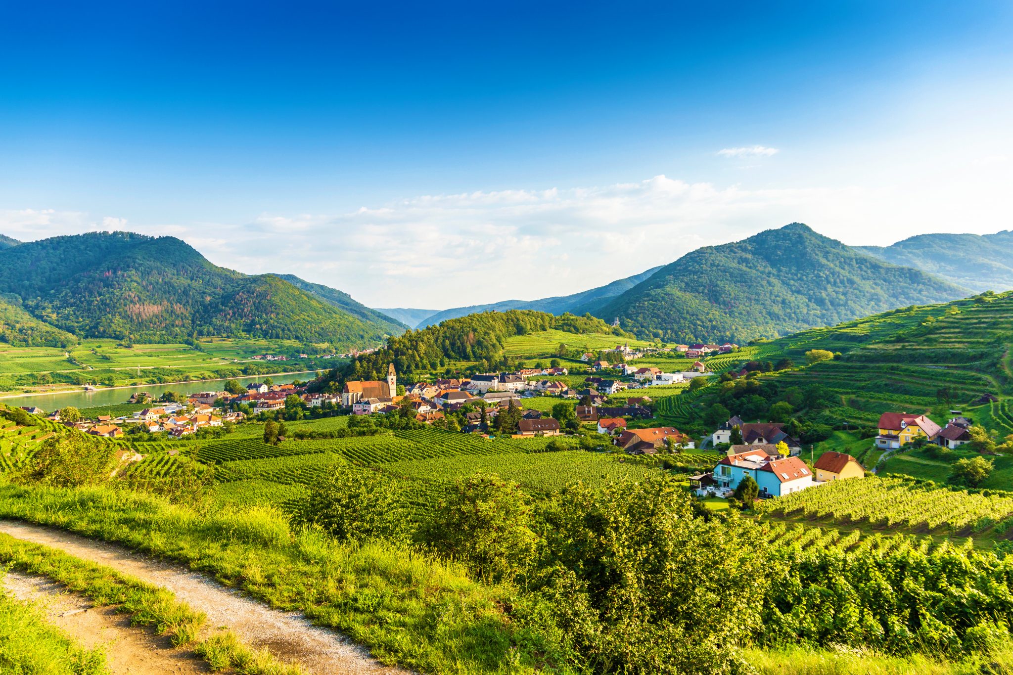 eurohike-wanderreisen-welterbesteig-wachau-weissenkirchen-panorama