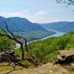 eurohike-wanderreisen-welterbesteig-wachau-weissenkirchen-spitz