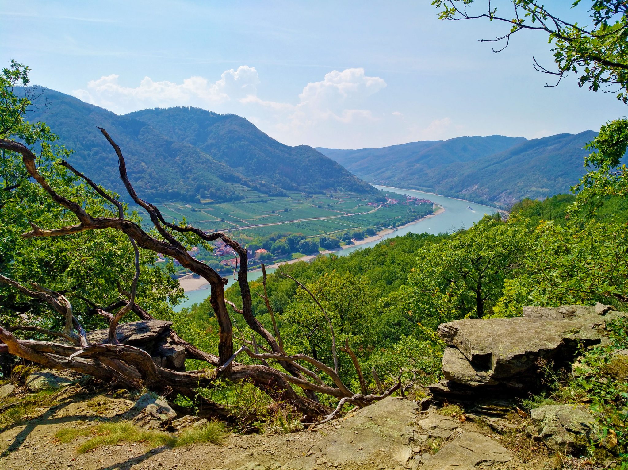 eurohike-wanderreisen-welterbesteig-wachau-weissenkirchen-spitz