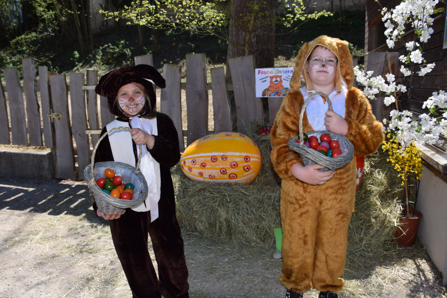 Ostern im Tierpark Stadt Haag