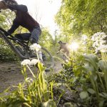 MF_MTB_Wienerwald_MarkusFruehmann006