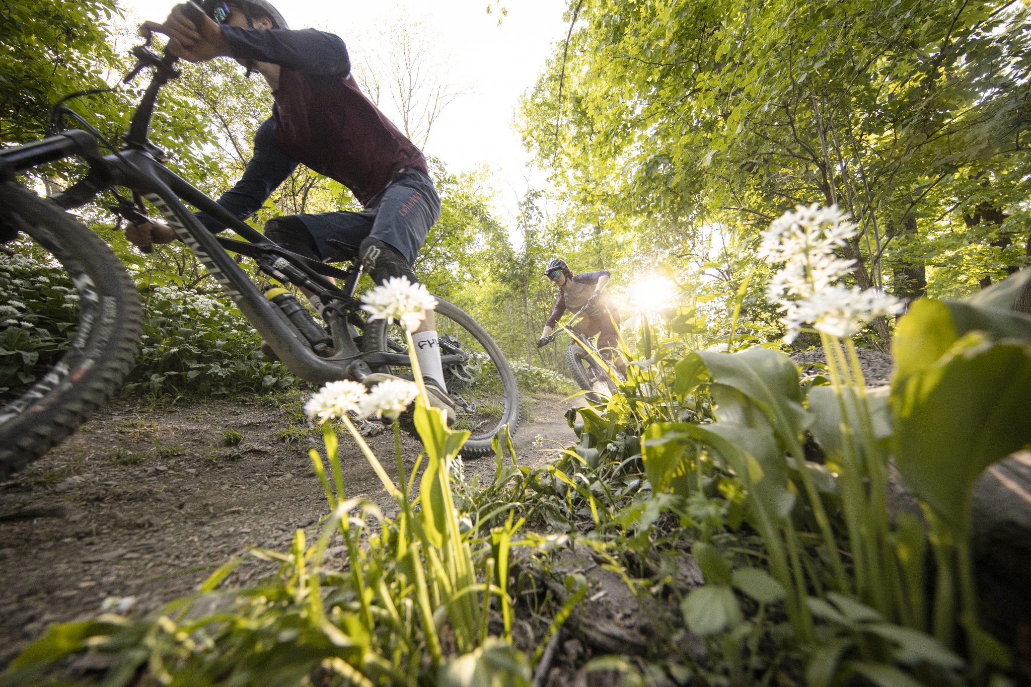 MF_MTB_Wienerwald_MarkusFruehmann006