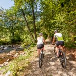 Waldviertel Tourismus-Mountainbike_048(c) Waldviertel Tourismus_www.ishootpeople.at