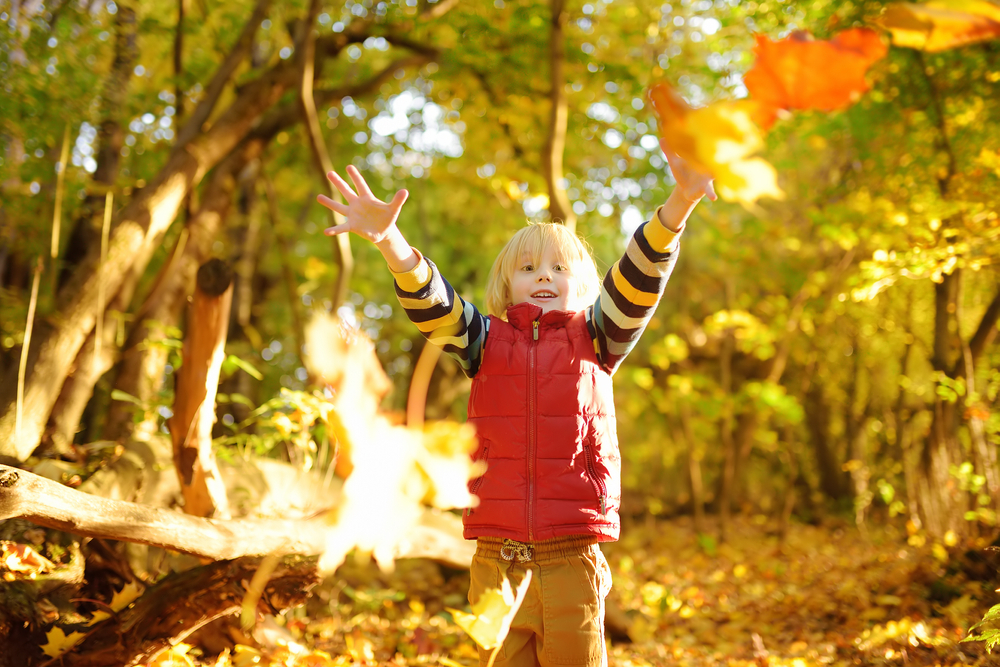 Little,Boy,Having,Fun,During,Stroll,In,The,Forest,At