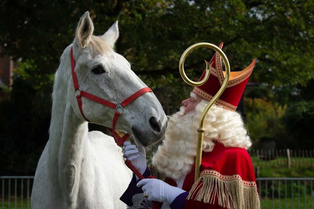 Ein weißes Pferd in den Niederlanden