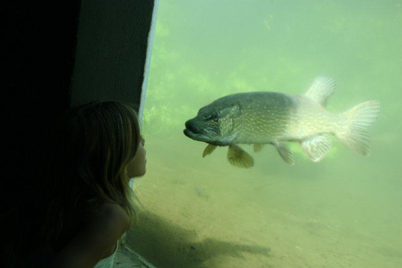 Unterwasserstation Wildpark Furth