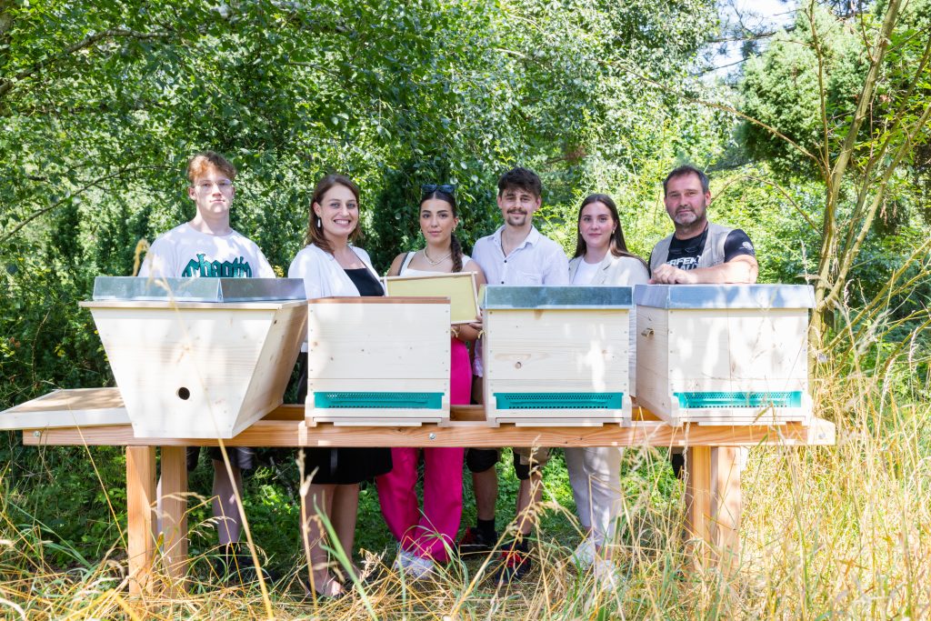 Stadt Linz - Lehrlinge bauen Bienenstöcke