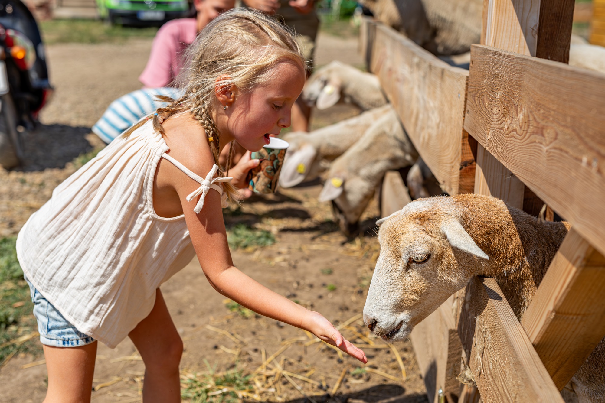 Merlin's Farm